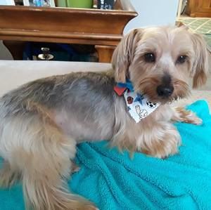 Meet your Posher, Giovana